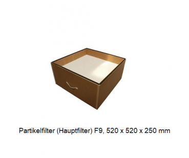 Partikelfilter (Hauptfilter) F9, 520 x 520 x 250 mm filtoo